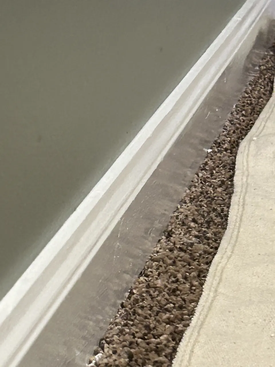 Baseboard painted with carpet protected by a drop cloth