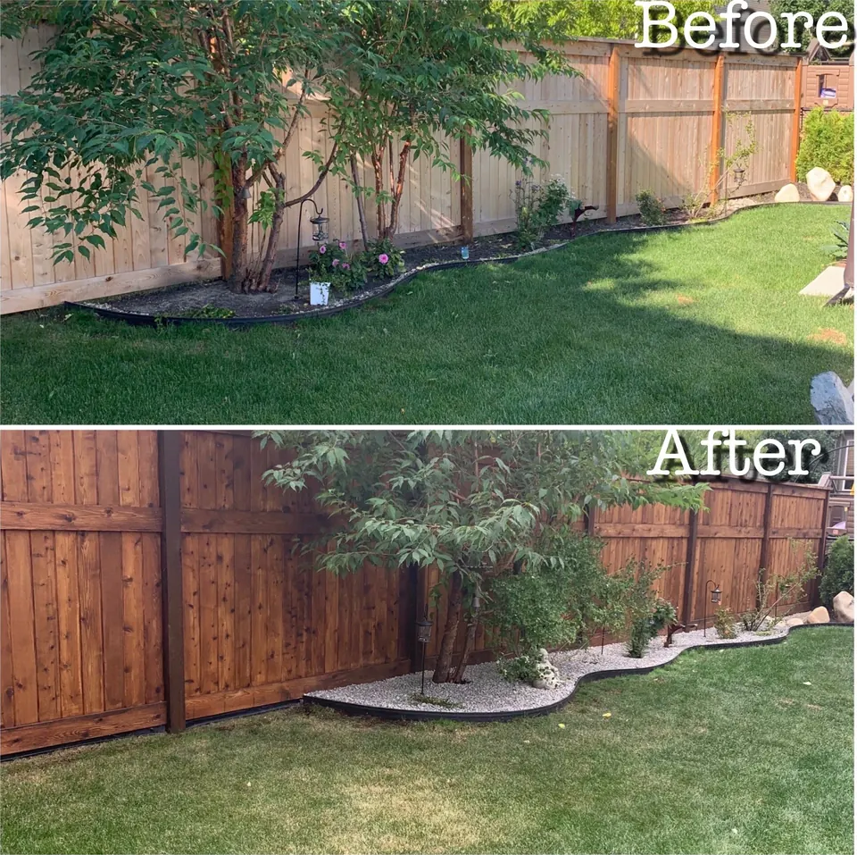 Weathered privacy fence stained a rich cedar tone, before and after